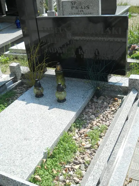 Zdjęcie grobu 18/28441