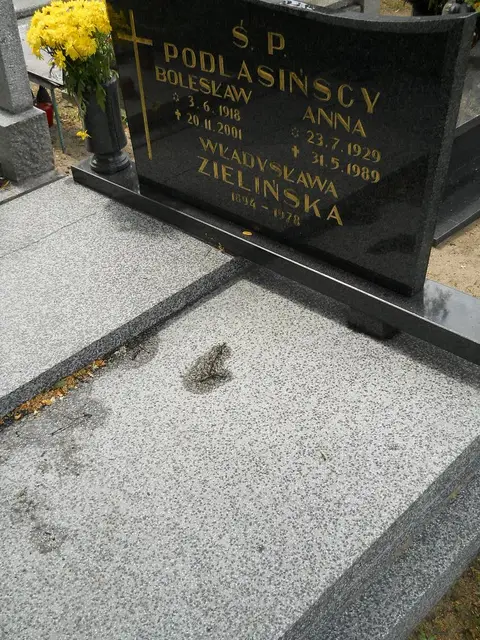 Zdjęcie grobu 5/22567
