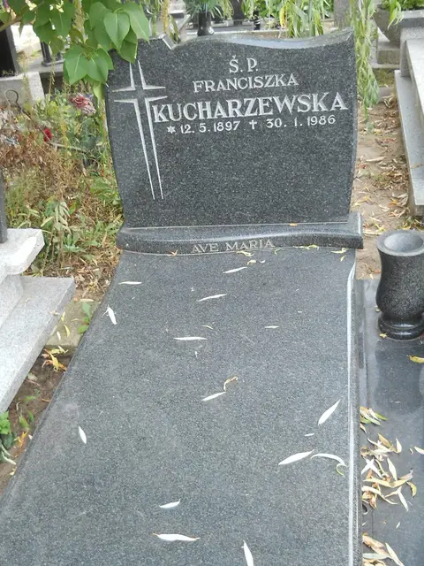 Zdjęcie grobu 14/27801