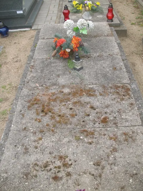 Zdjęcie grobu 8A/20196
