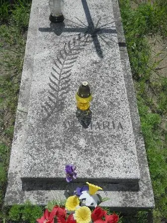 Zdjęcie grobu 25/291