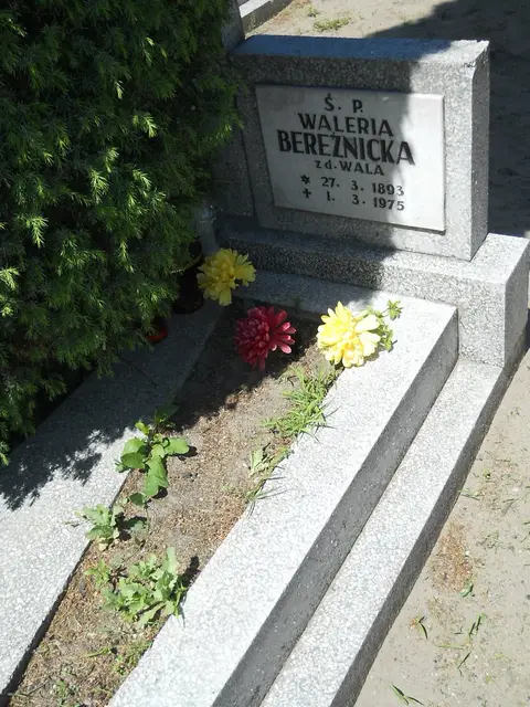 Zdjęcie grobu 8A/10185
