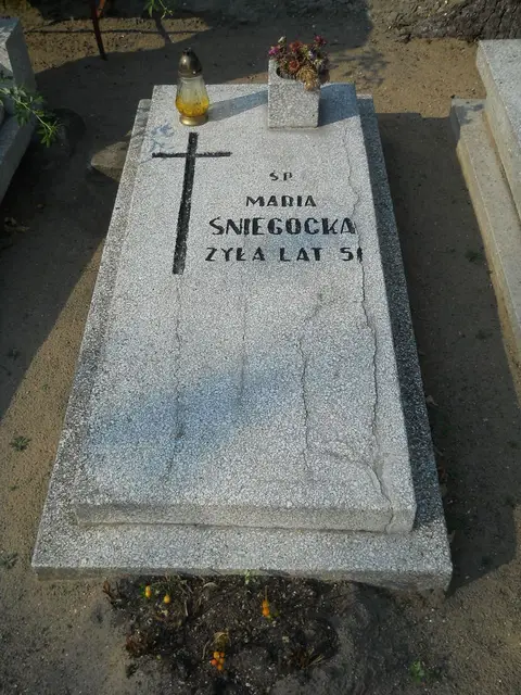 Zdjęcie grobu 18/28659