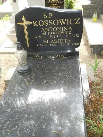 Zdjęcie grobu 41/60
