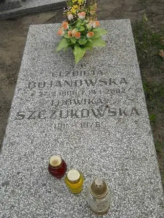 Zdjęcie grobu 9/44