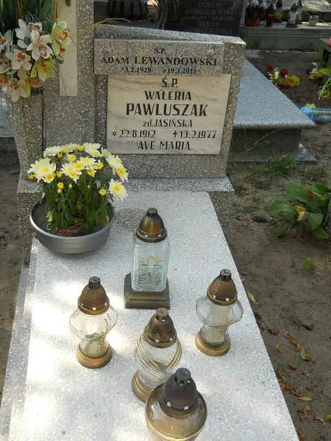 Zdjęcie grobu 19/28511