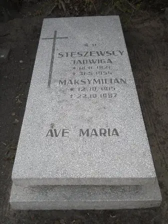 Zdjęcie grobu 100/100