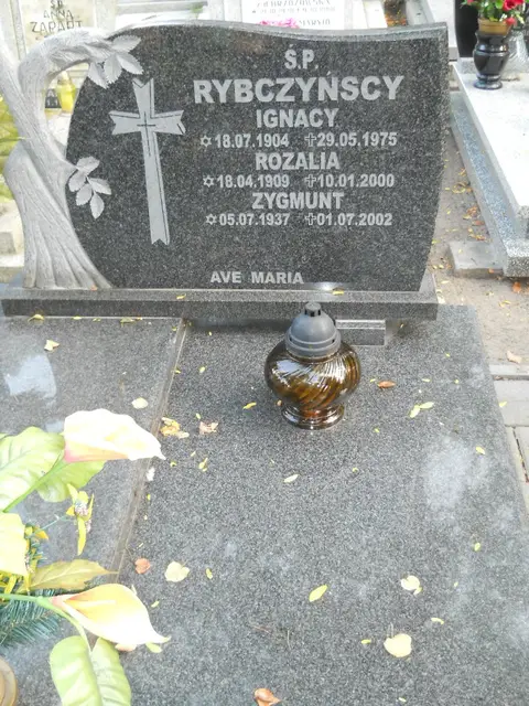 Zdjęcie grobu 14/26901