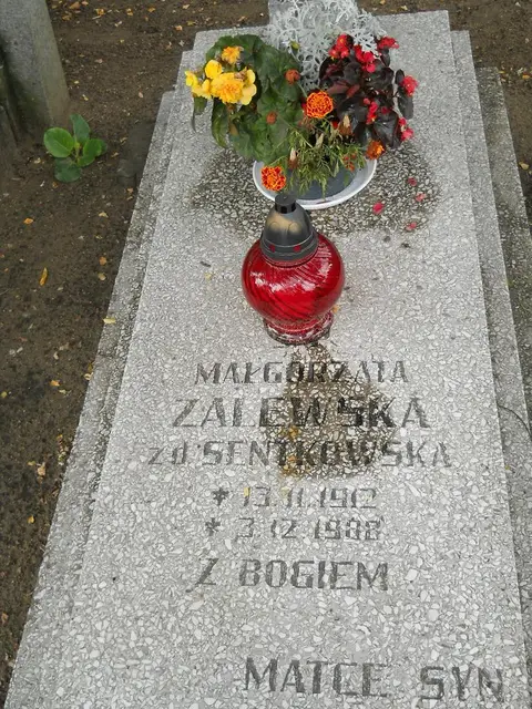 Zdjęcie grobu 5/22608