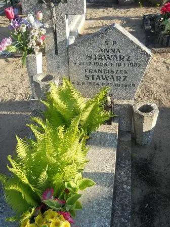 Zdjęcie grobu 45/16