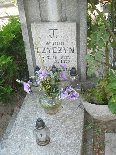Zdjęcie grobu 14/27871