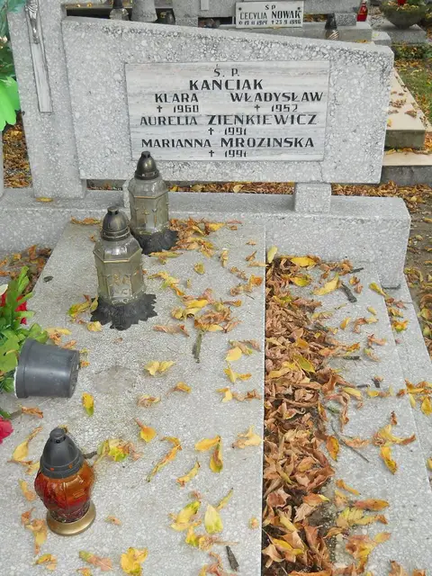 Zdjęcie grobu 15/26702