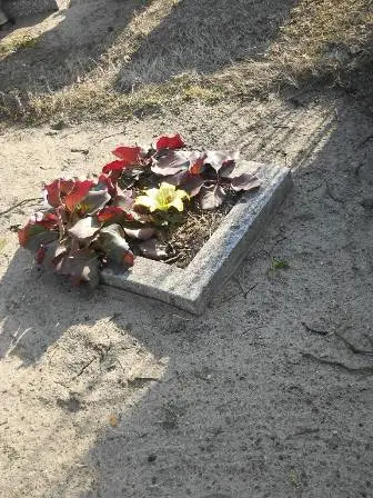 Zdjęcie grobu 2/11