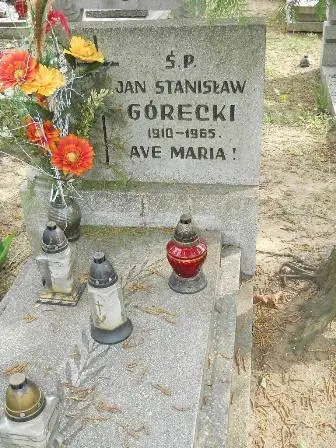Zdjęcie grobu 33/100