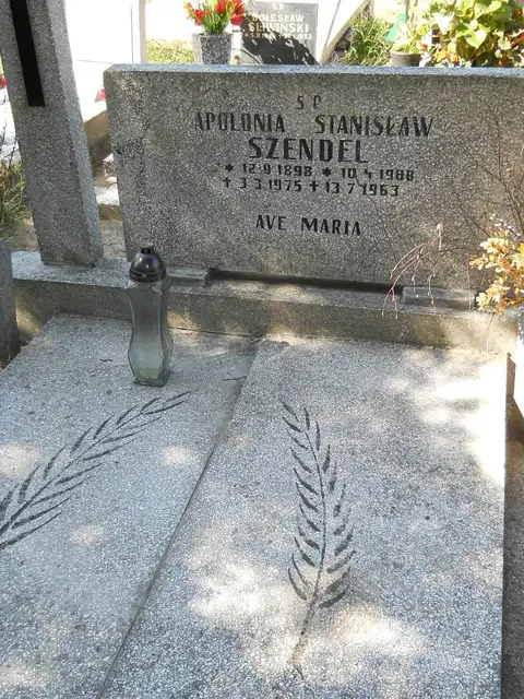 Zdjęcie grobu 6/24197