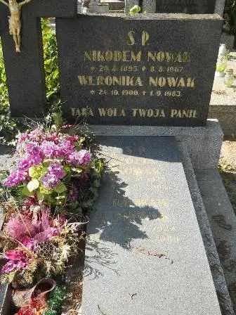 Zdjęcie grobu 24/100