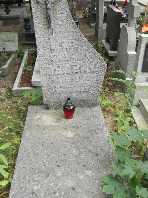 Zdjęcie grobu 13/29621