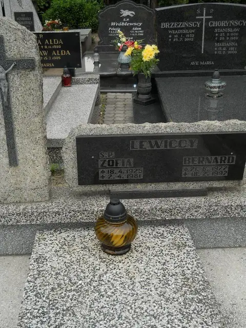 Zdjęcie grobu 7/11017