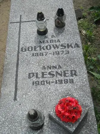 Zdjęcie grobu 41/119