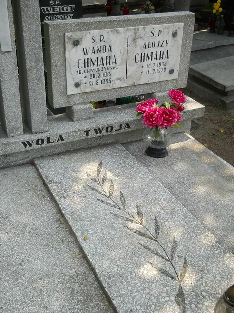 Zdjęcie grobu 18/28243