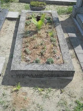 Zdjęcie grobu 26/195