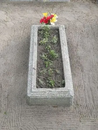 Zdjęcie grobu 22/100
