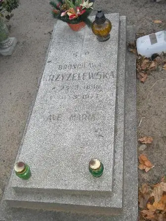 Zdjęcie grobu 8/144