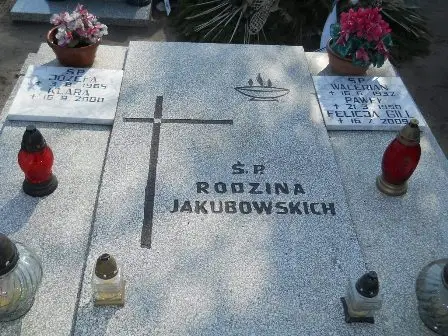 Zdjęcie grobu 3/100