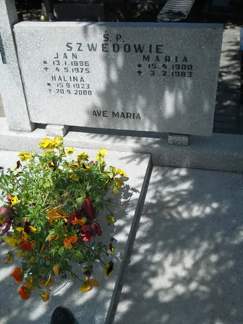 Zdjęcie grobu 8A/10227