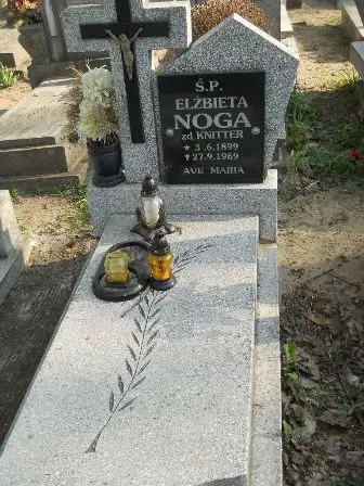 Zdjęcie grobu 9a/47