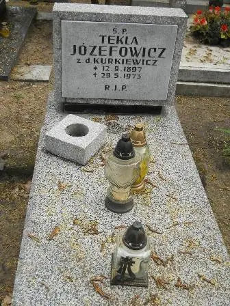 Zdjęcie grobu 33/46