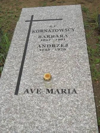 Zdjęcie grobu 36/95
