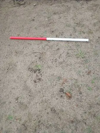Zdjęcie grobu 38/100