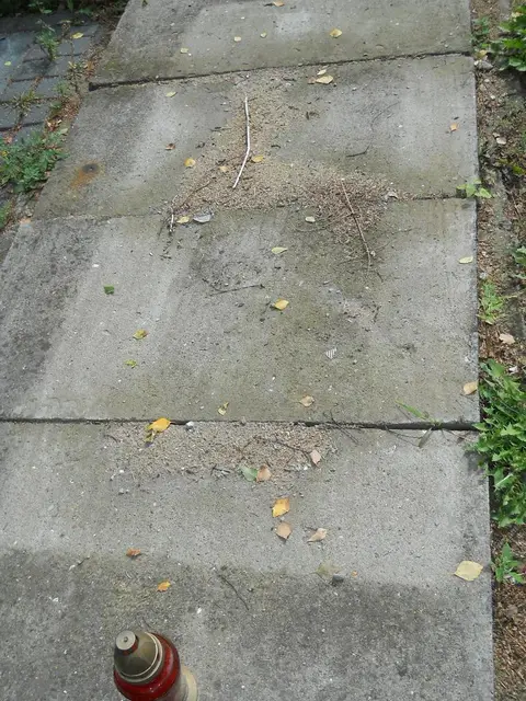 Zdjęcie grobu 16/26300