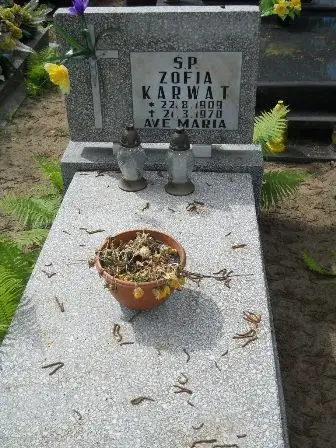 Zdjęcie grobu 38/100