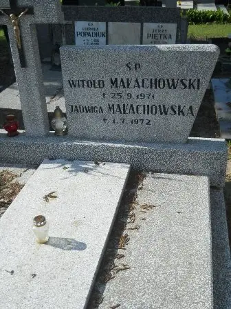 Zdjęcie grobu 20/100