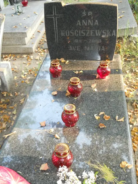 Zdjęcie grobu 15/26794