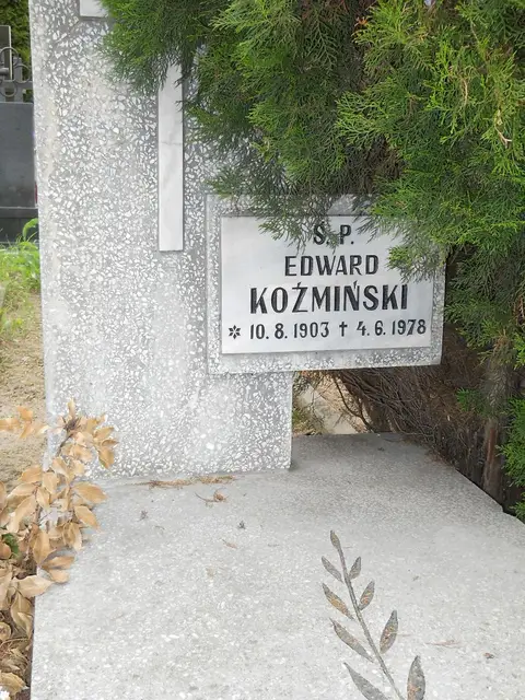 Zdjęcie grobu 7/10901