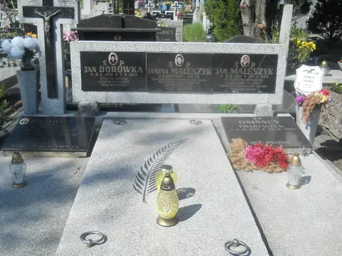 Zdjęcie grobu 5/22482