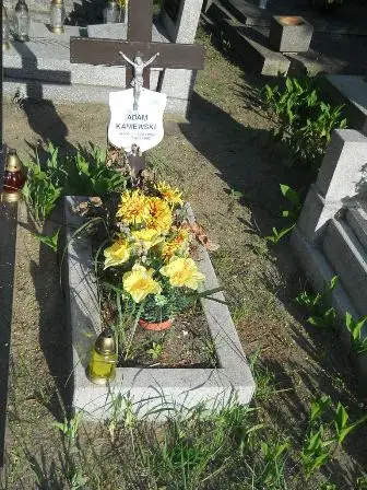 Zdjęcie grobu 31/160