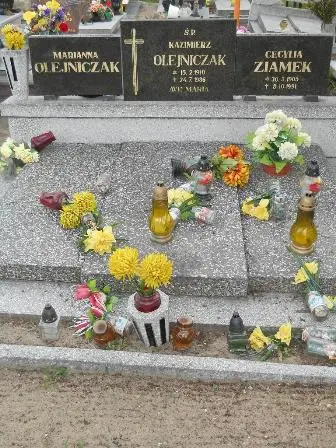 Zdjęcie grobu 44/100