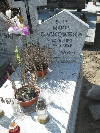 Zdjęcie grobu 35/241