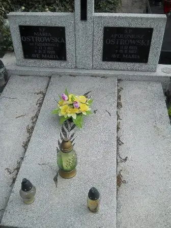 Zdjęcie grobu 22/105,106