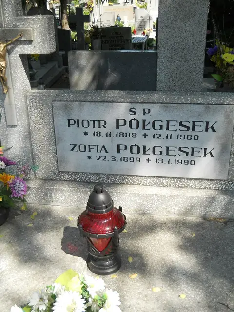 Zdjęcie grobu 7/11866