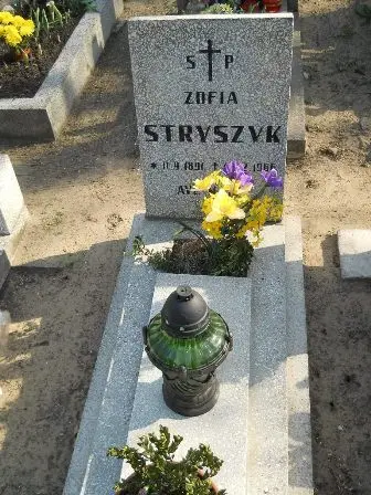 Zdjęcie grobu 9/100