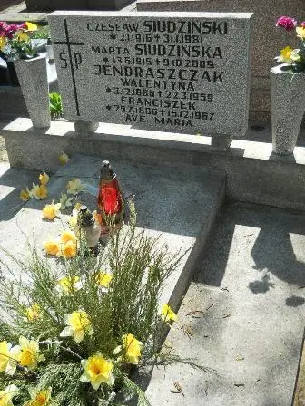 Zdjęcie grobu 30/119,120