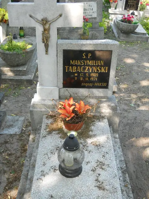 Zdjęcie grobu 8A/10332