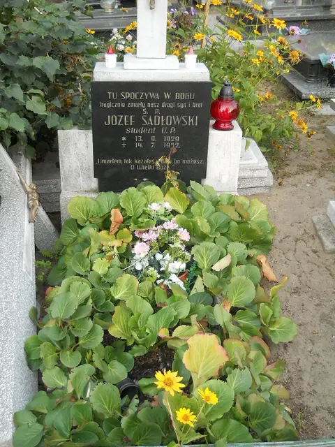 Zdjęcie grobu 16/28878