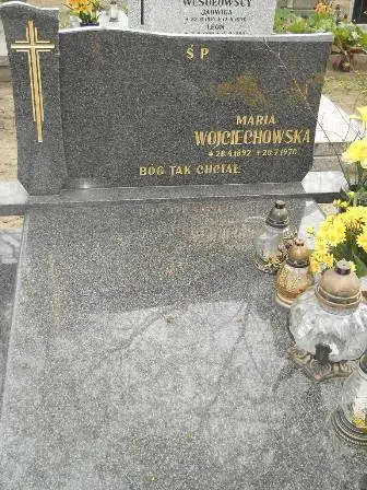 Zdjęcie grobu 9/84,84a
