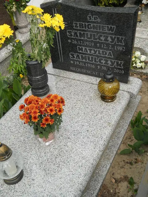 Zdjęcie grobu 7/11476